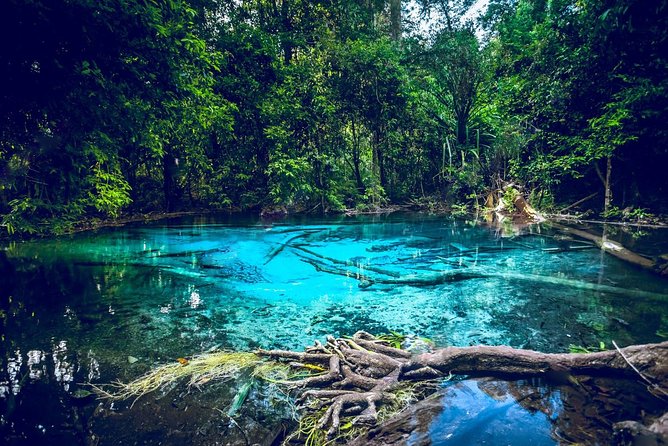 بركة الزمرد Emerald Pool والبركة الزرقاء Blue Pool في منتزه غابة ثونغ تياو الطبيعي Thung Teao Forest Natural Park (1)