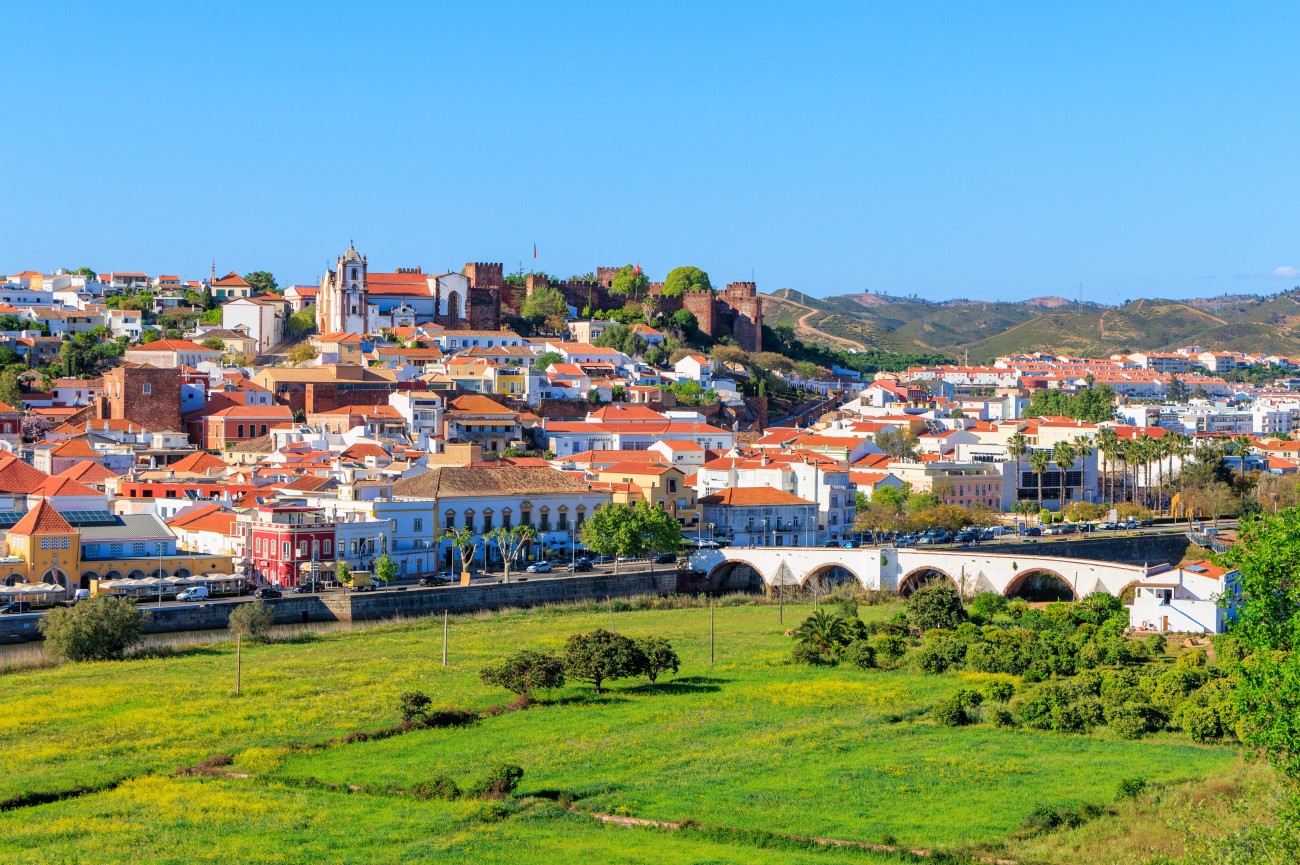  بلدة سيلفيس الريفية