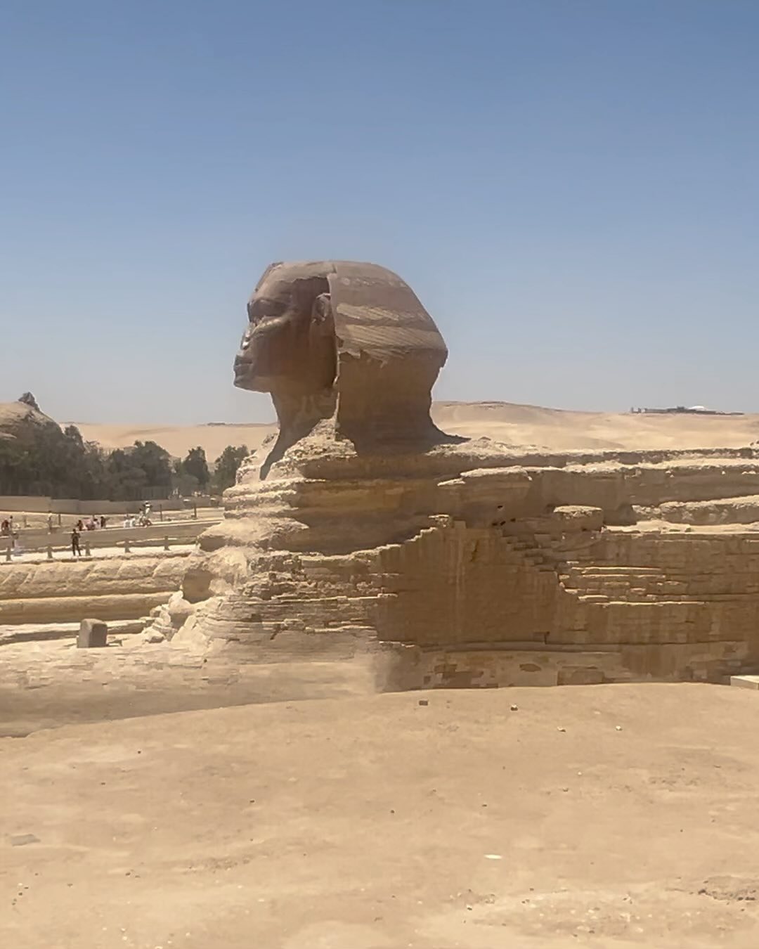 بيدرو ألونسو أمام تمثال أبو الهول في الجيزة