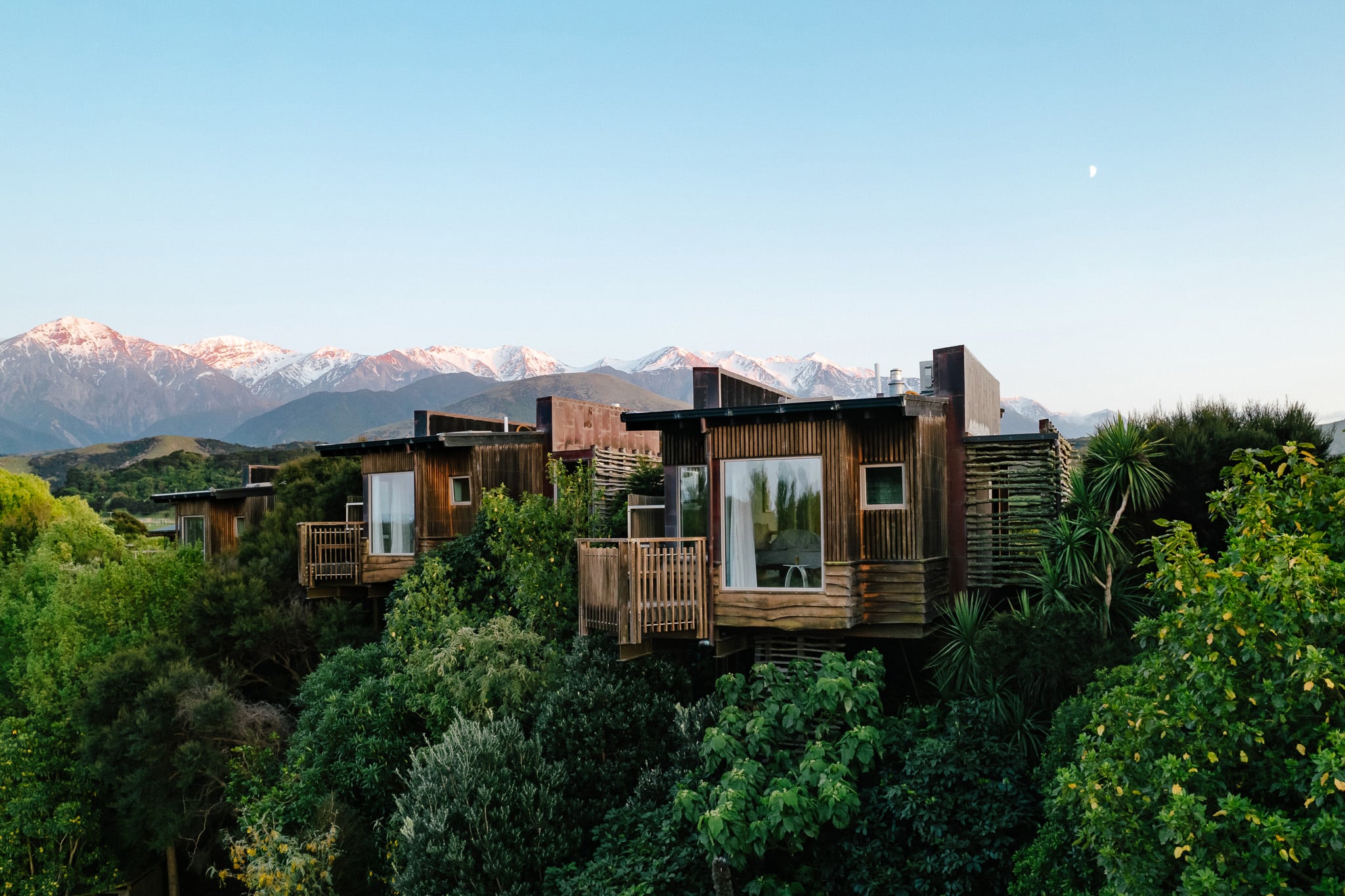 بيوت الأشجار الفاخرة والملاذات