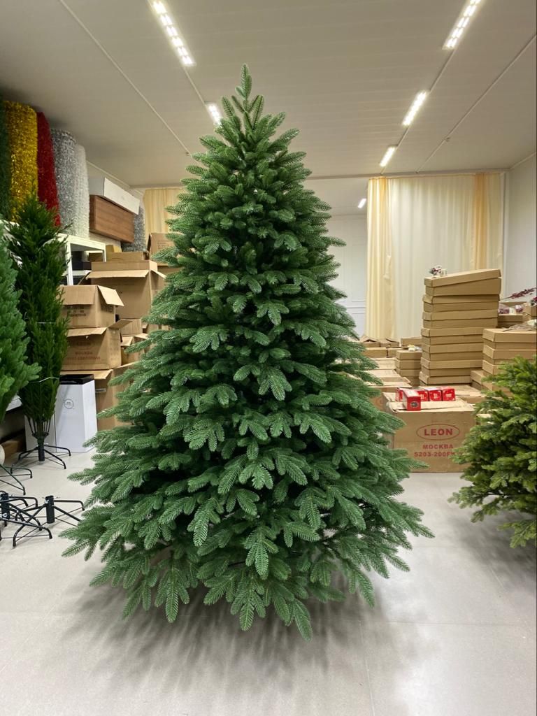 تتميز الأشجار الصحية بطبقة لامعة وناعمة