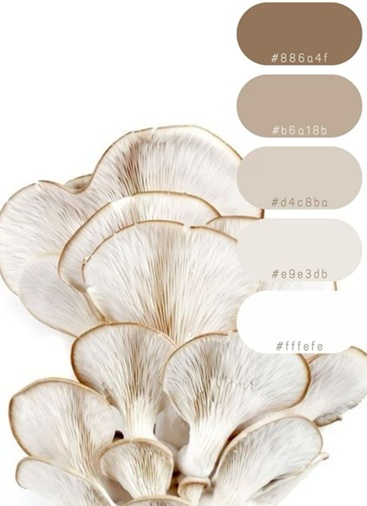 تتميز الدرجات المحايدة للون الفطر بطابع دافئ يستوحي لونه من الفطر الطبيعي