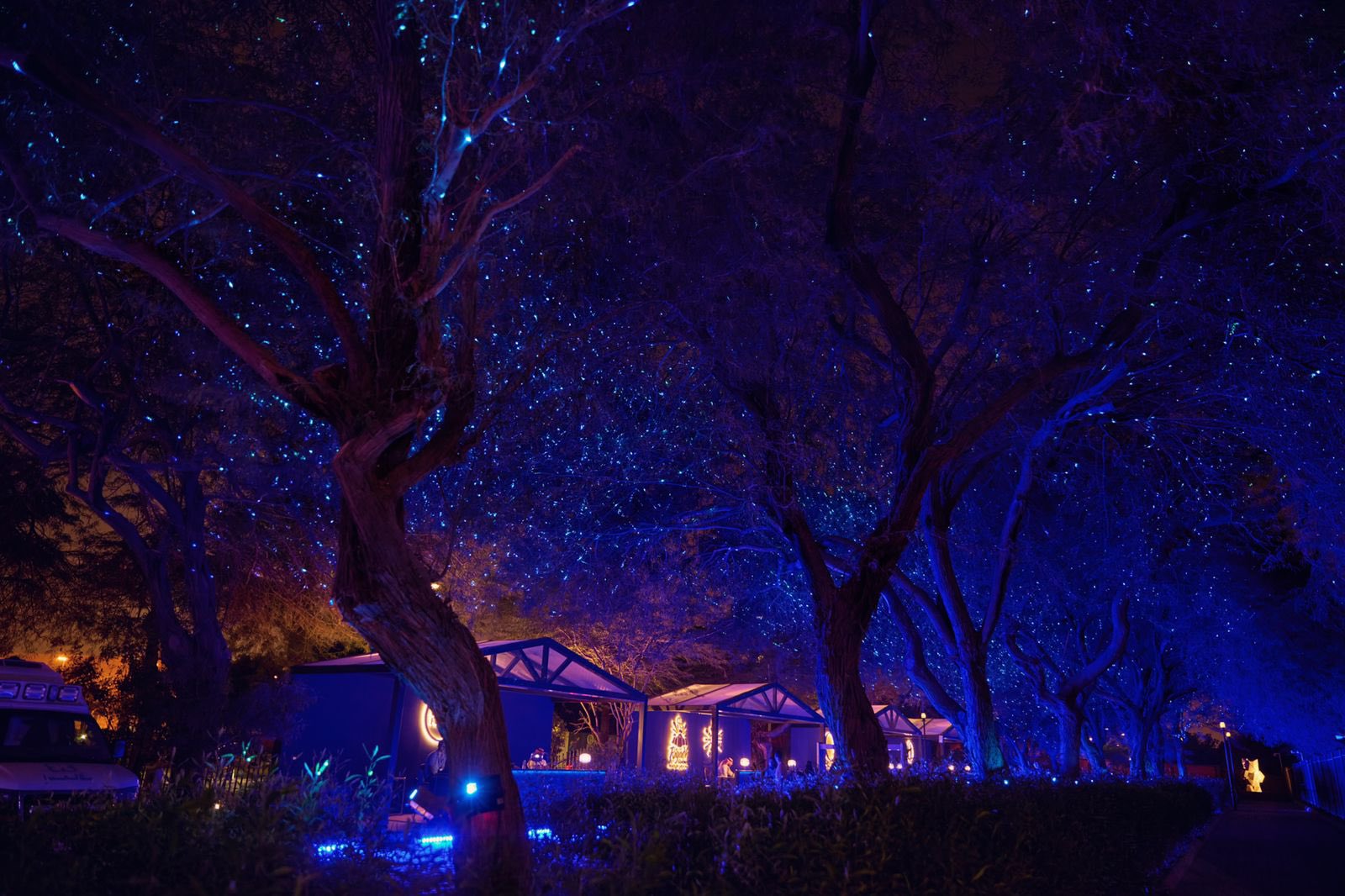 تجارب خيالية تنتظر زوار ذا جروفز