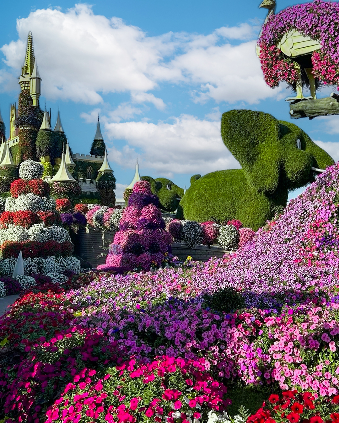 تجارب لا حصر لها تقدمها دبي ميراكل جاردن لزوارها