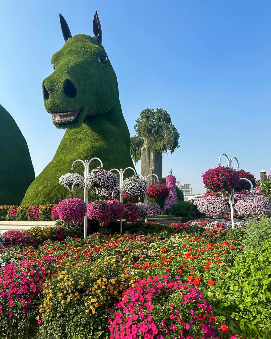 تصميمات ساحرة تنتظر زوار دبي ميراكل جاردن