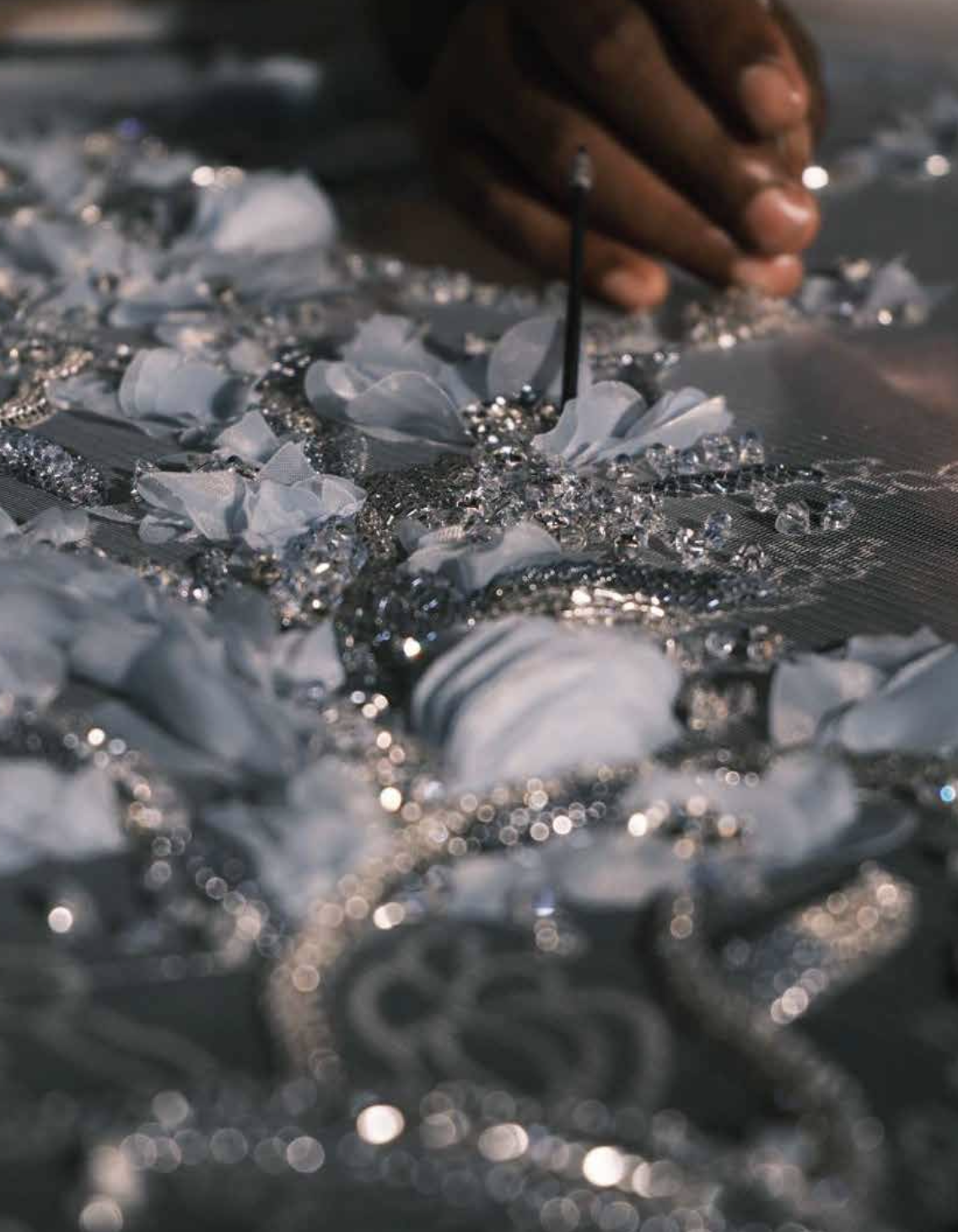 تفاصيل من الهوت كوتور Rebirth