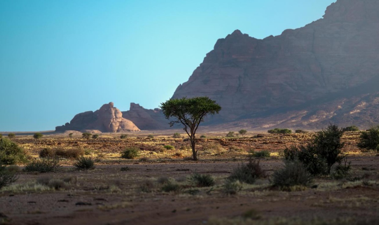 تنوع ساحر للطبيعة في محميات المملكة الطبيعية 