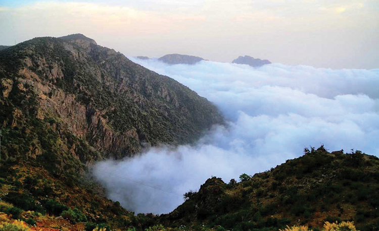 جبال أبها وعسير الباردة والضبابية