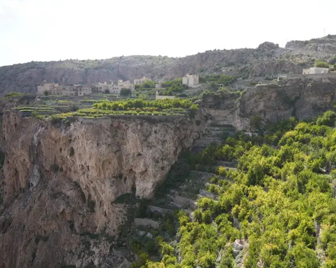 جبل الأخضر في عمان