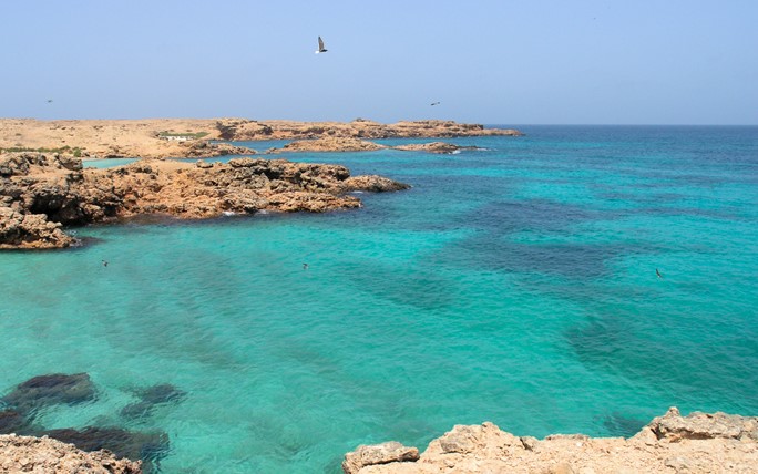 جزر الديمانيات.. بقعة ساحرة من أرض عمان