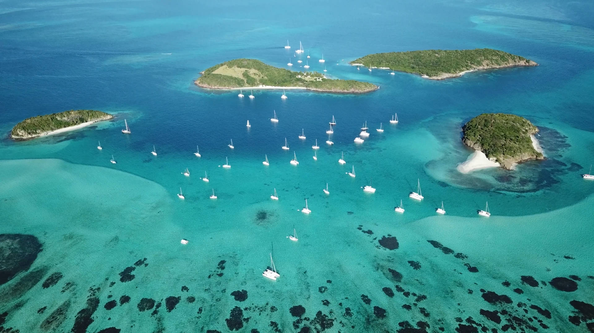 جزر توباغو كايز، سانت فنسنت وجزر غرينادين Tobago Cays, St. Vincent & the Grenadines