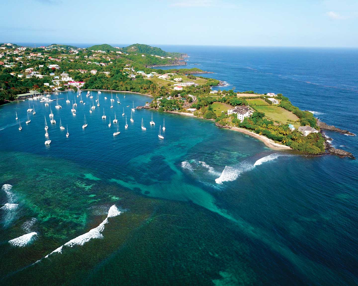 جزر توباغو كايز، سانت فنسنت وجزر غرينادين Tobago Cays, St. Vincent & the Grenadines