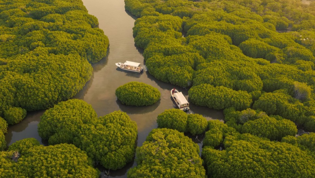 جزر فرسان بقعة خيالية من أرض المملكة 