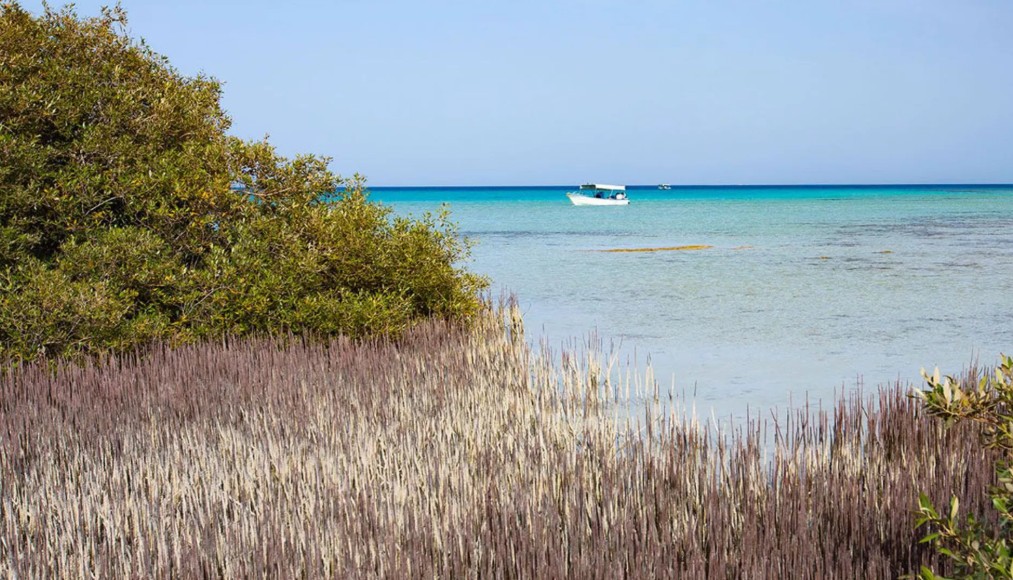 جزر فرسان بقعة ساحرة على أرض جازان الخلابة 