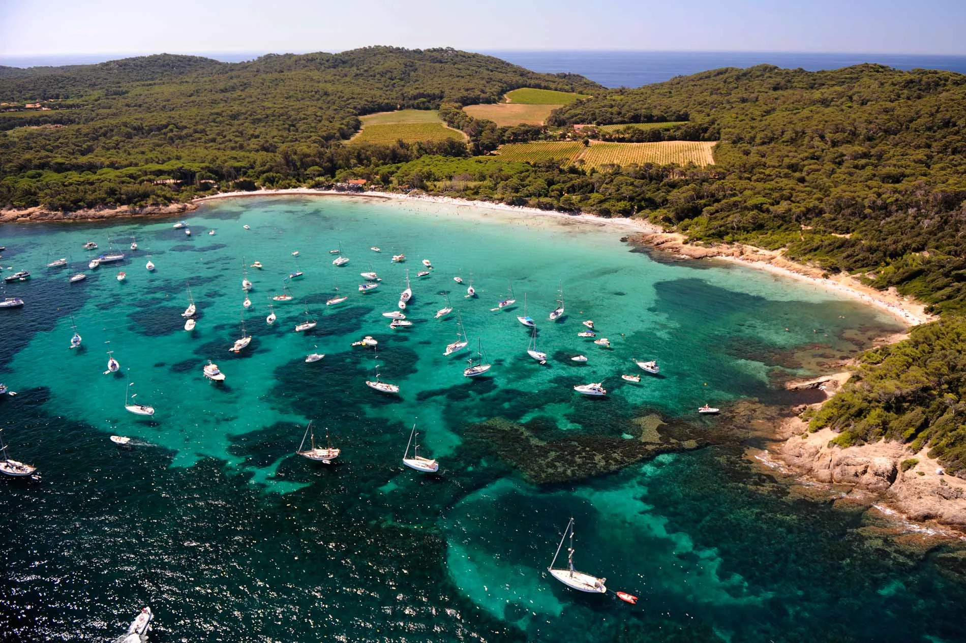 جزر هيير Iles d'Hyeres