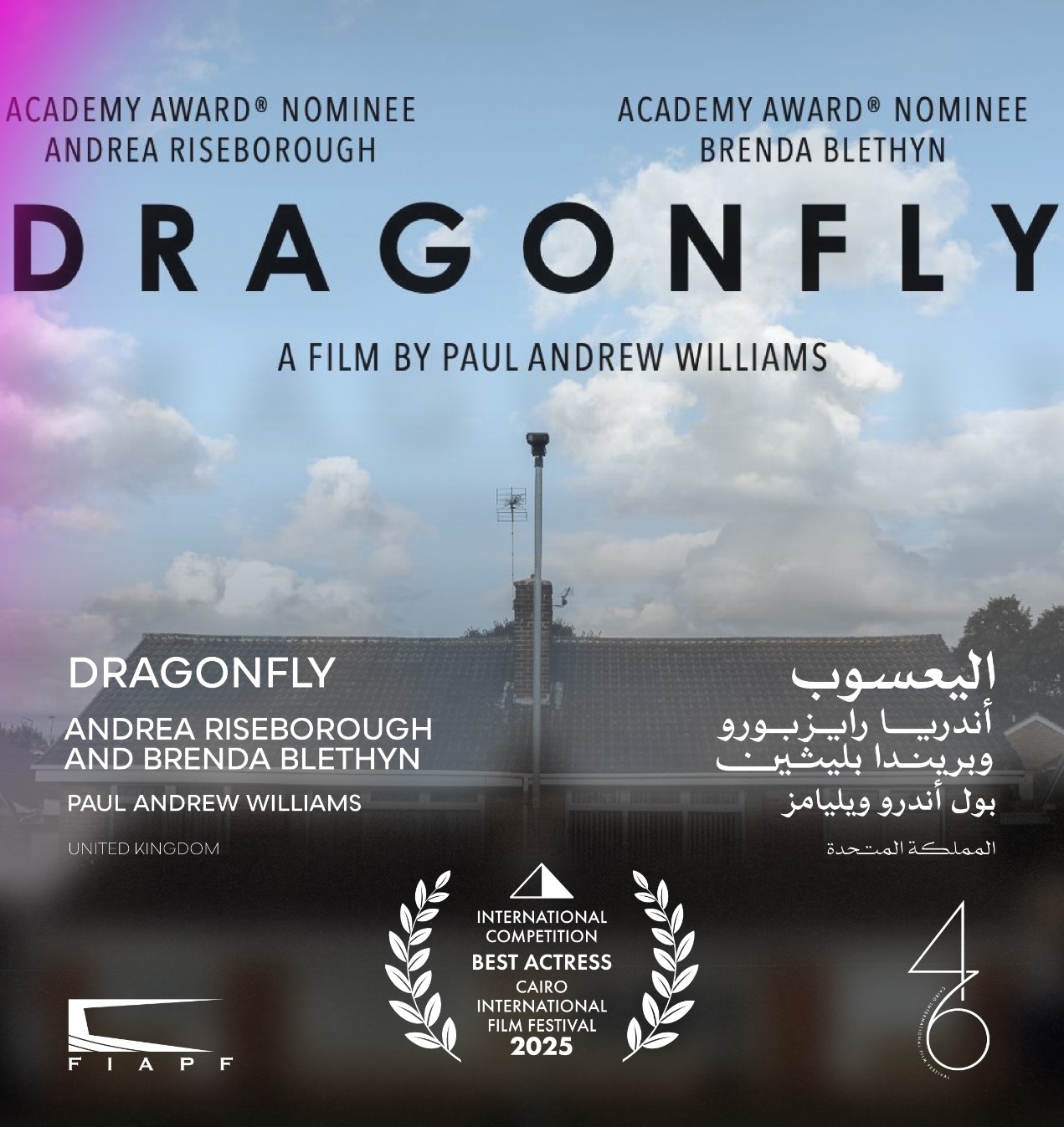 جوائز المسابقة الدولية في مهرجان القاهرة السينمائي