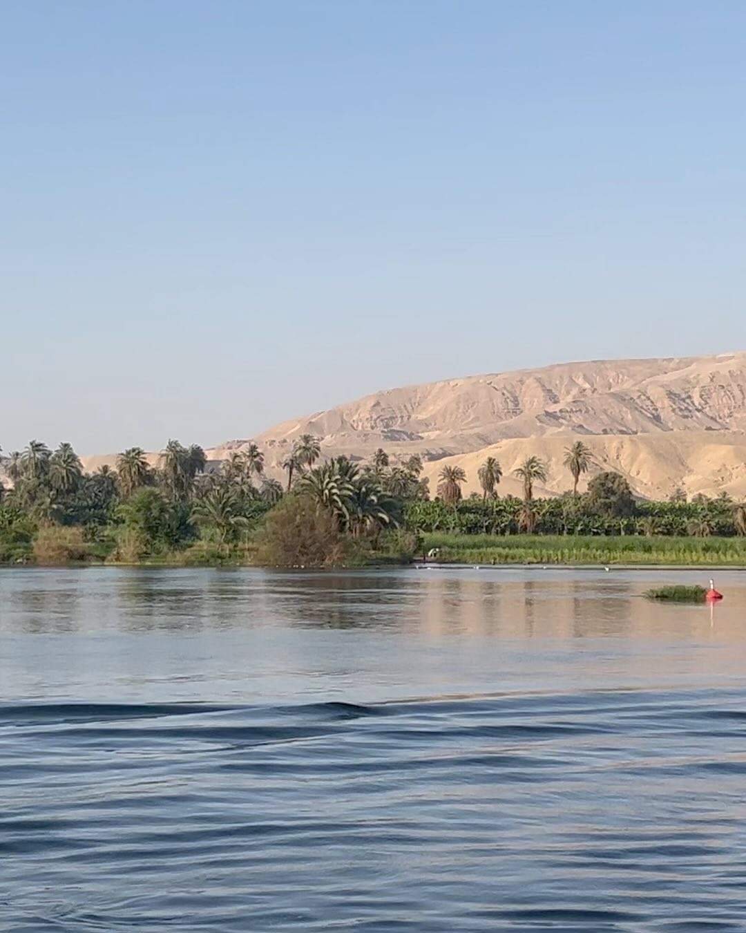 جولة بيدرو ألونسو بين أحضان النيل