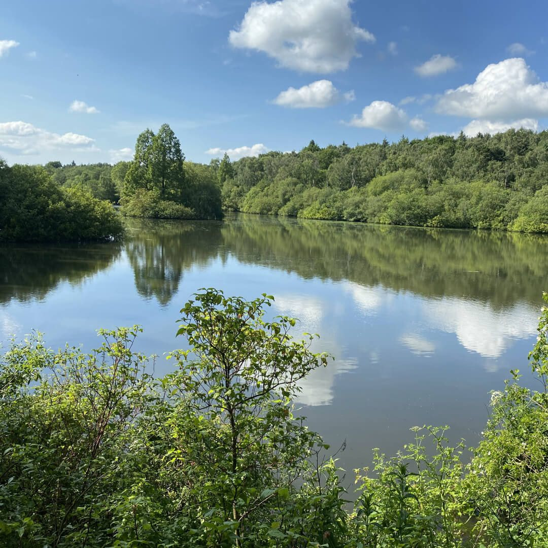 جولدن اكر بارك Golden Acre Park