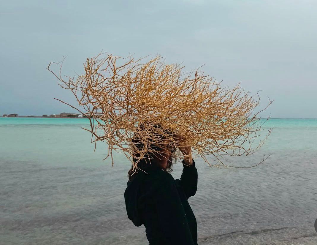 جيهان الشماشرجي في مدينة دهب المصرية