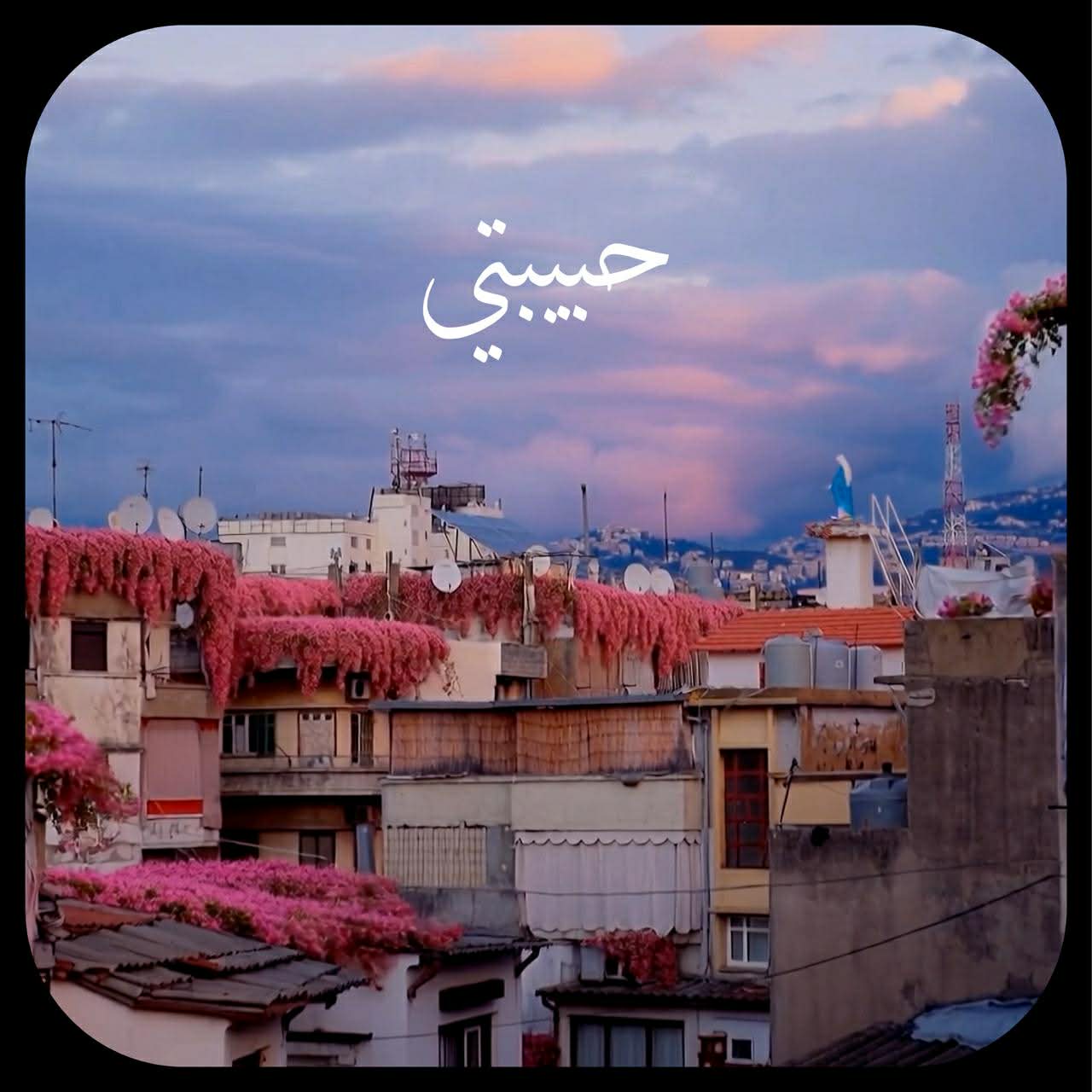 بوستر لأغنية "حبيبتي" لعبير نعمة