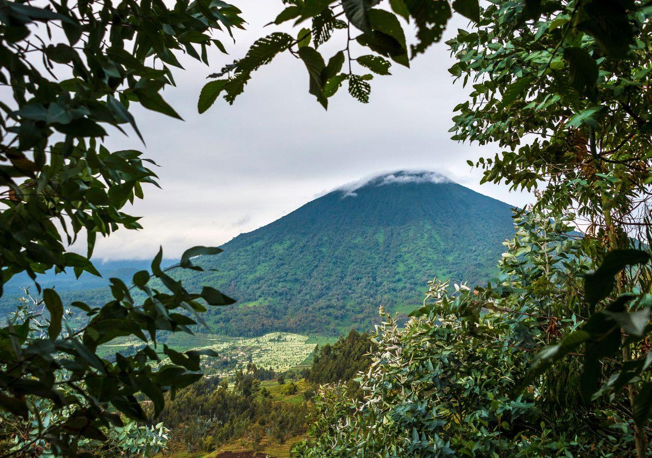 حديقة البراكين الوطنيةVolcanoes National Park، رواندا