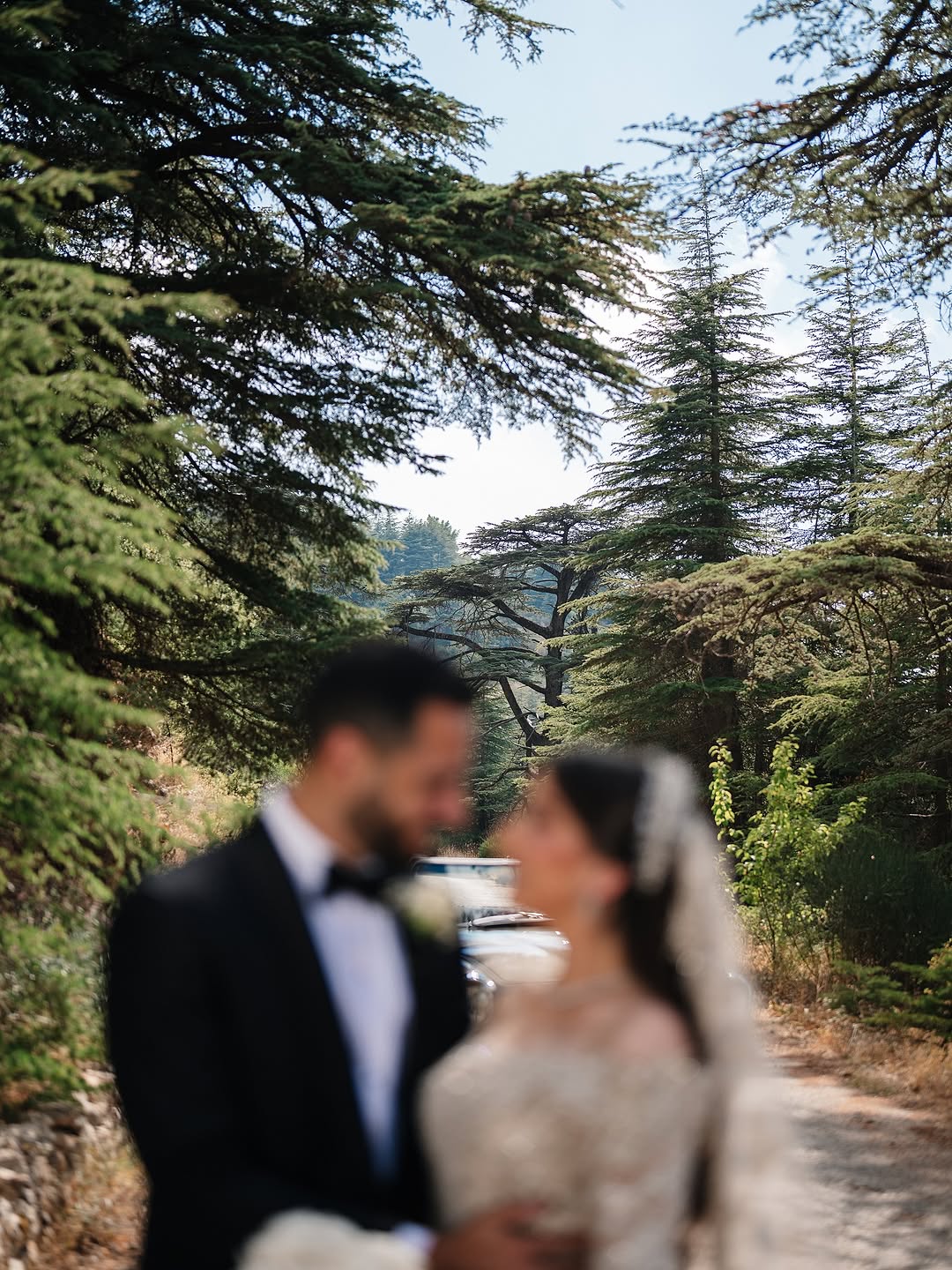 حفل زفاف بين أحضان الطبيعة- الصورة من موقع Domaine Des Mirs