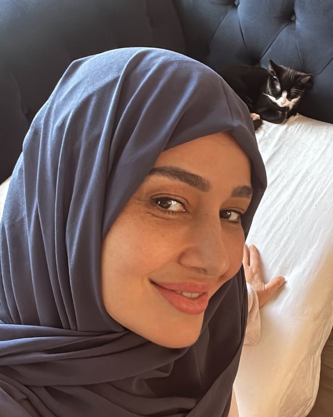 حلا شيحة تتذكر هاني شاكر