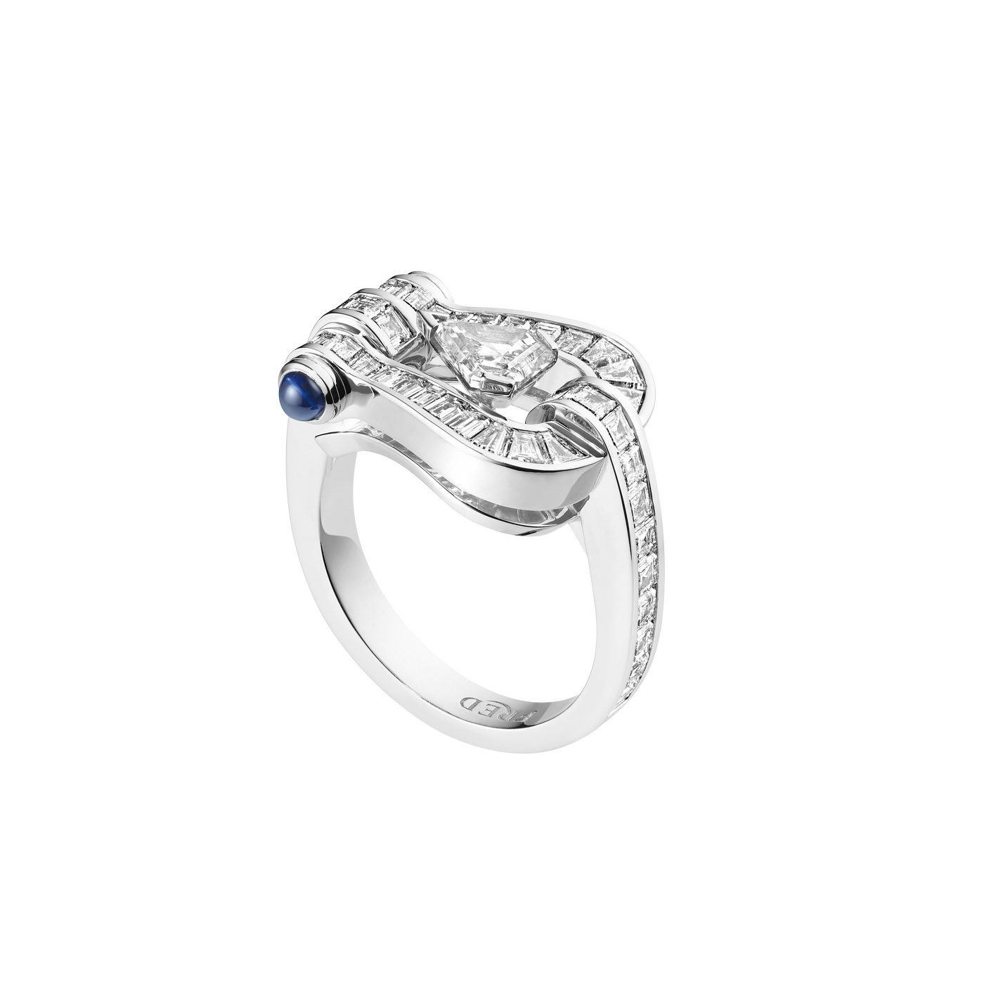 رمز متلألئ للنساء والرجال الذين اختاروا أن يقودوا حياتهم بإرادتهم.