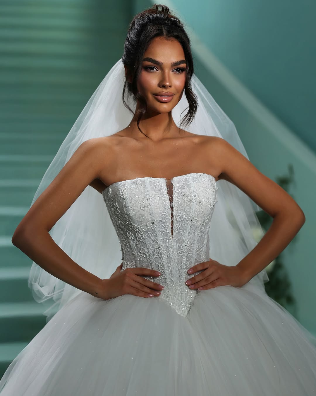 خصر الباسك في عروض Vladiyan Royal Dresses