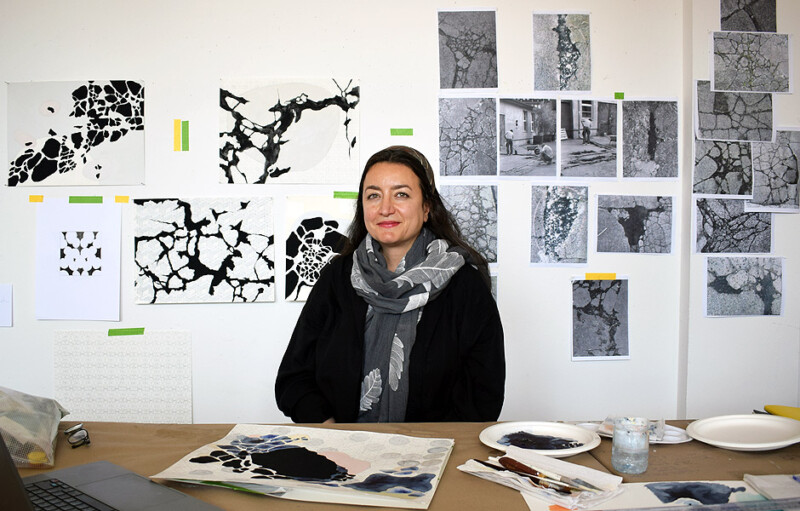 دانية الصالح مؤسسة استوديو دانية الصالح الصورة من موقع berlinartinstitute