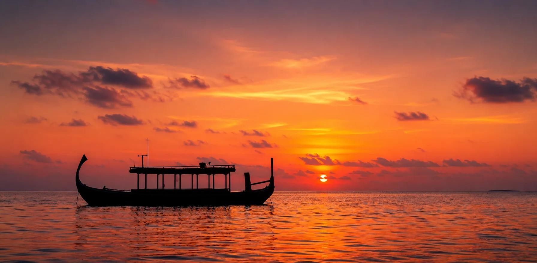 رحلة غروب لمشاهدة الدلافين Dolphin Sunset Cruise