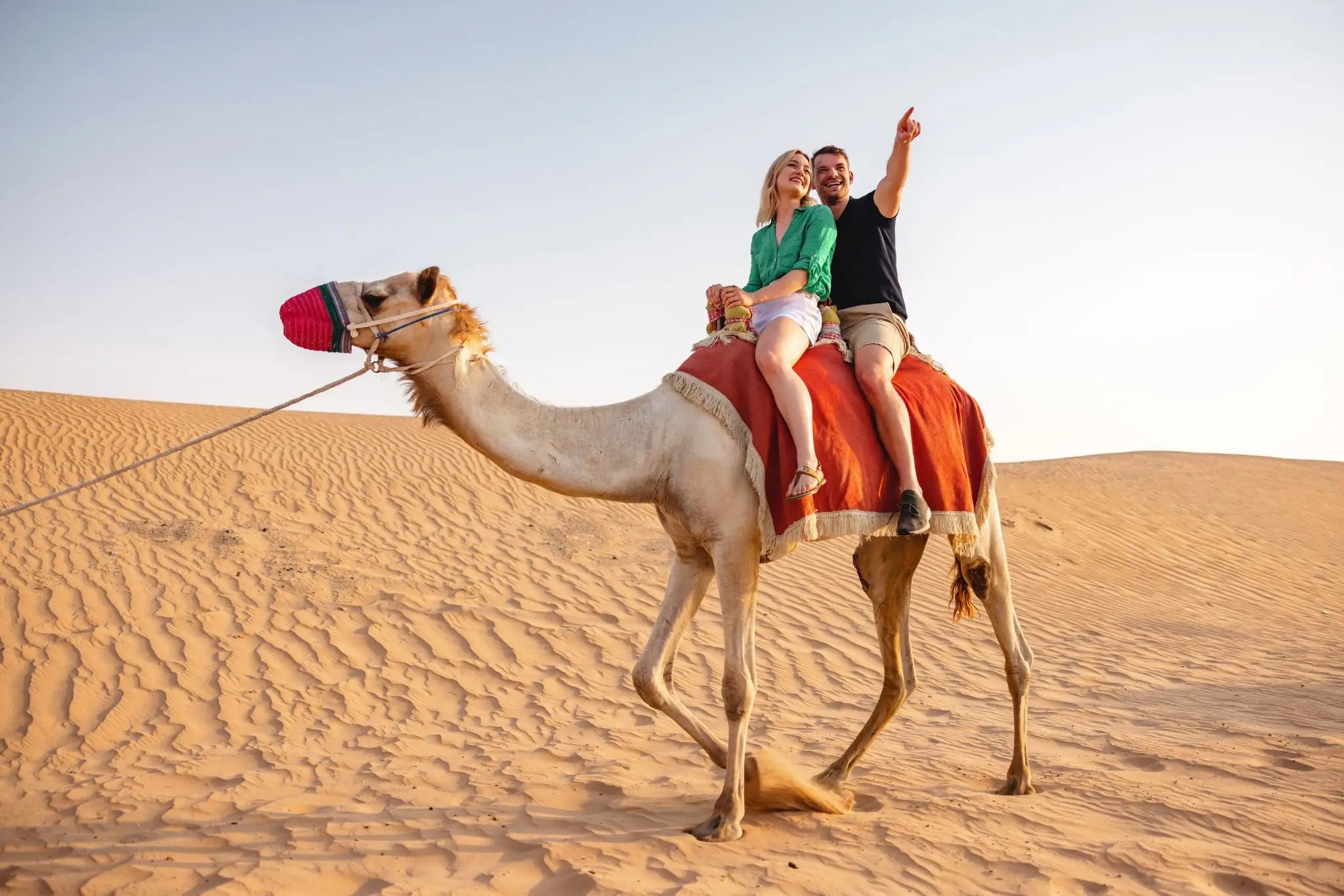 ركوب الجمال