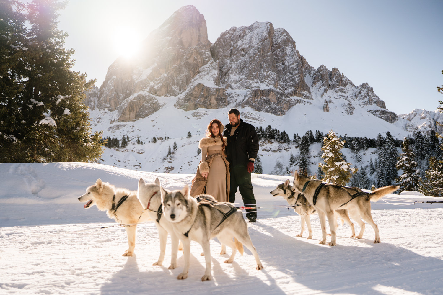 ركوب الزلاجات التي تجرها الكلاب