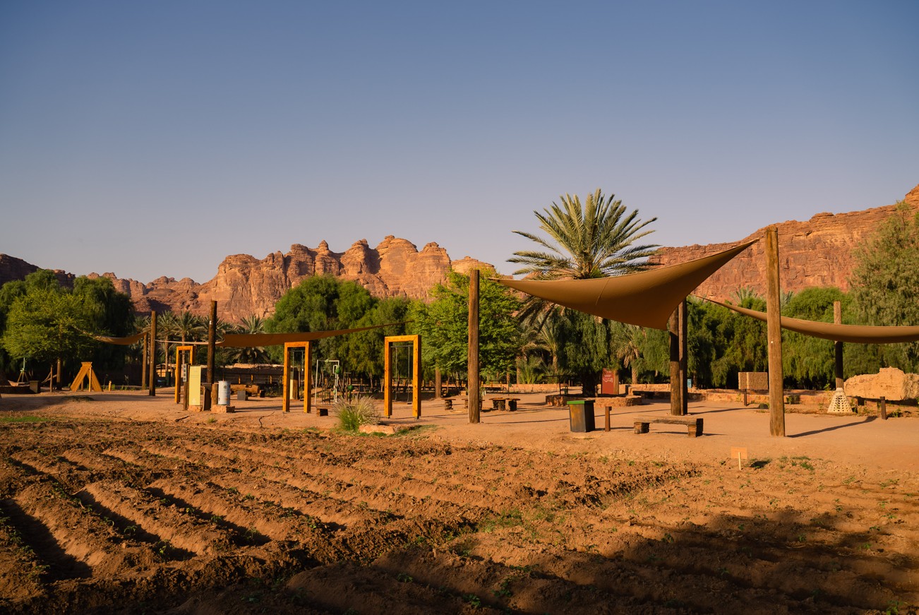 ديمومة.. واحة خلّابة تمزج بين الطبيعة والفنّ والتراث