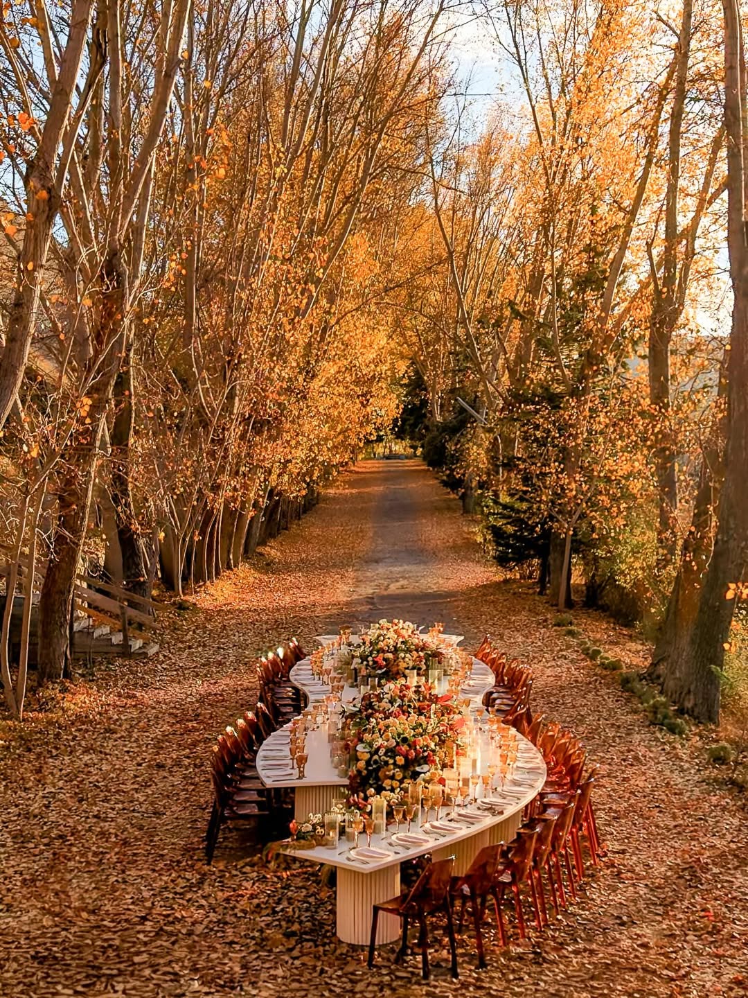 زفاف خريف بامتياز من الألوان حتى الأجواء