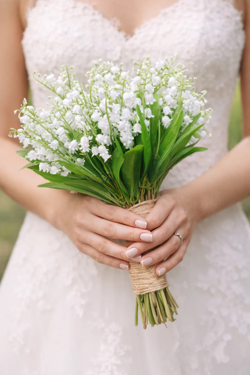 زنبق الوادي Lily of the Valley