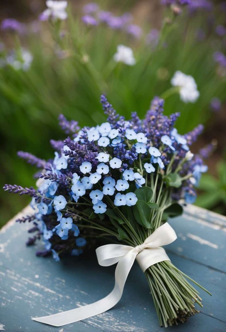 زهرة لا تنساني Forget-Me-Not