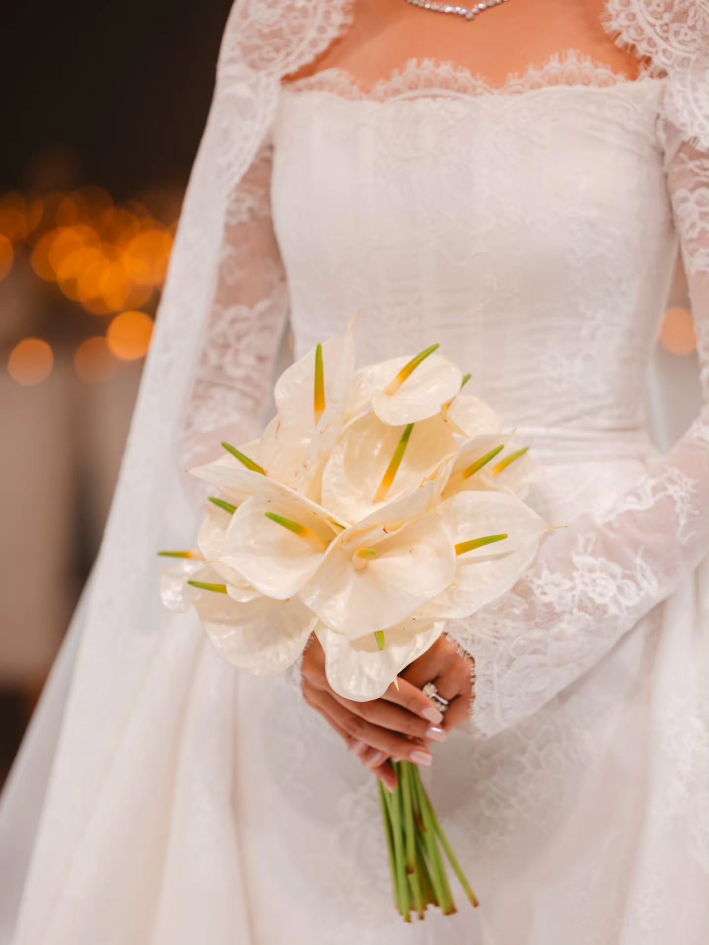 زهور الأنثوريوم البيضاء