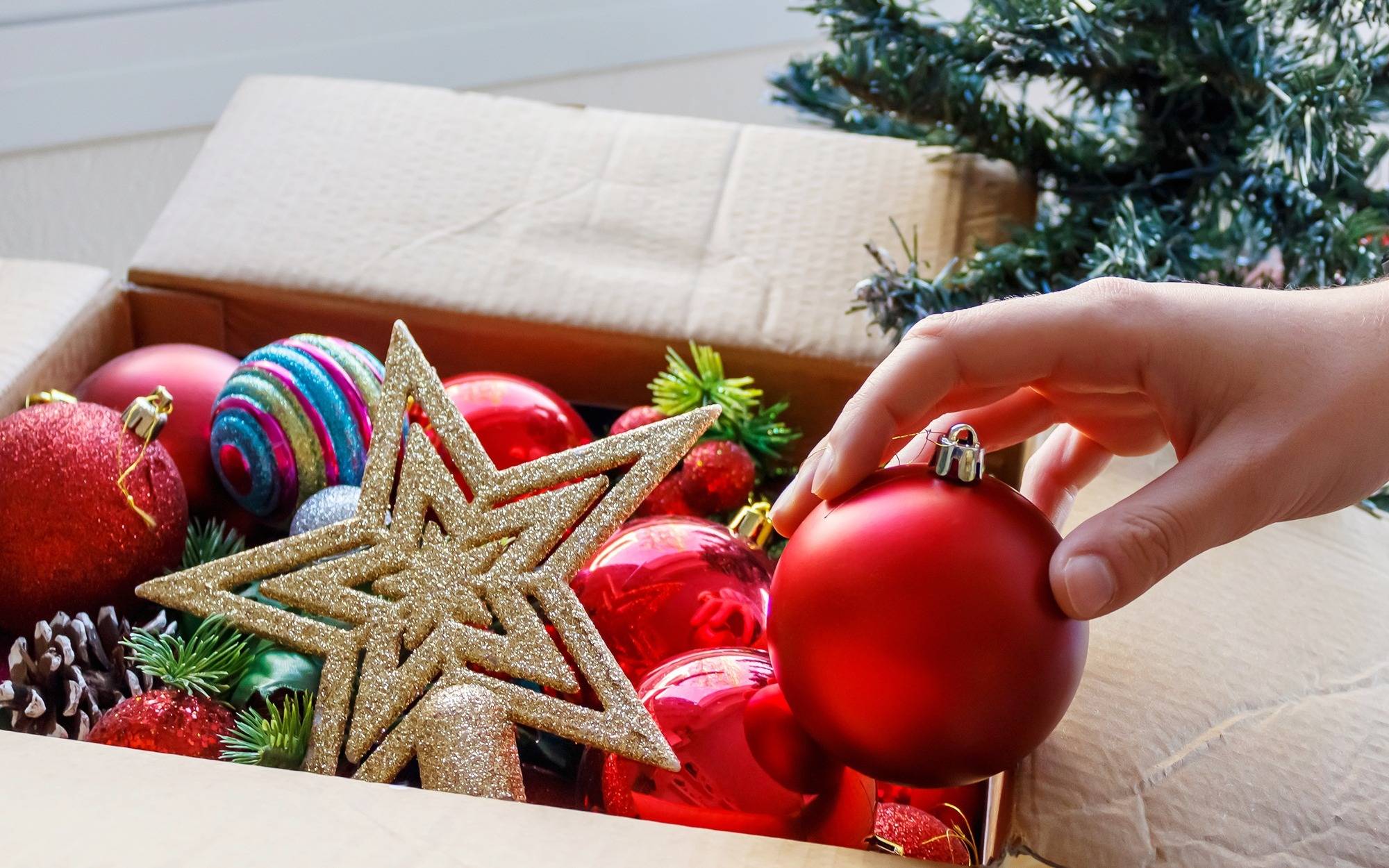 زينة العطلات وعيد الميلاد