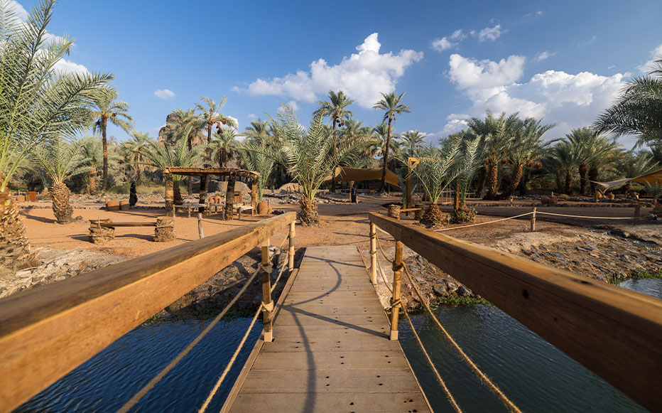 سحر الطبيعة في واحة خيبر