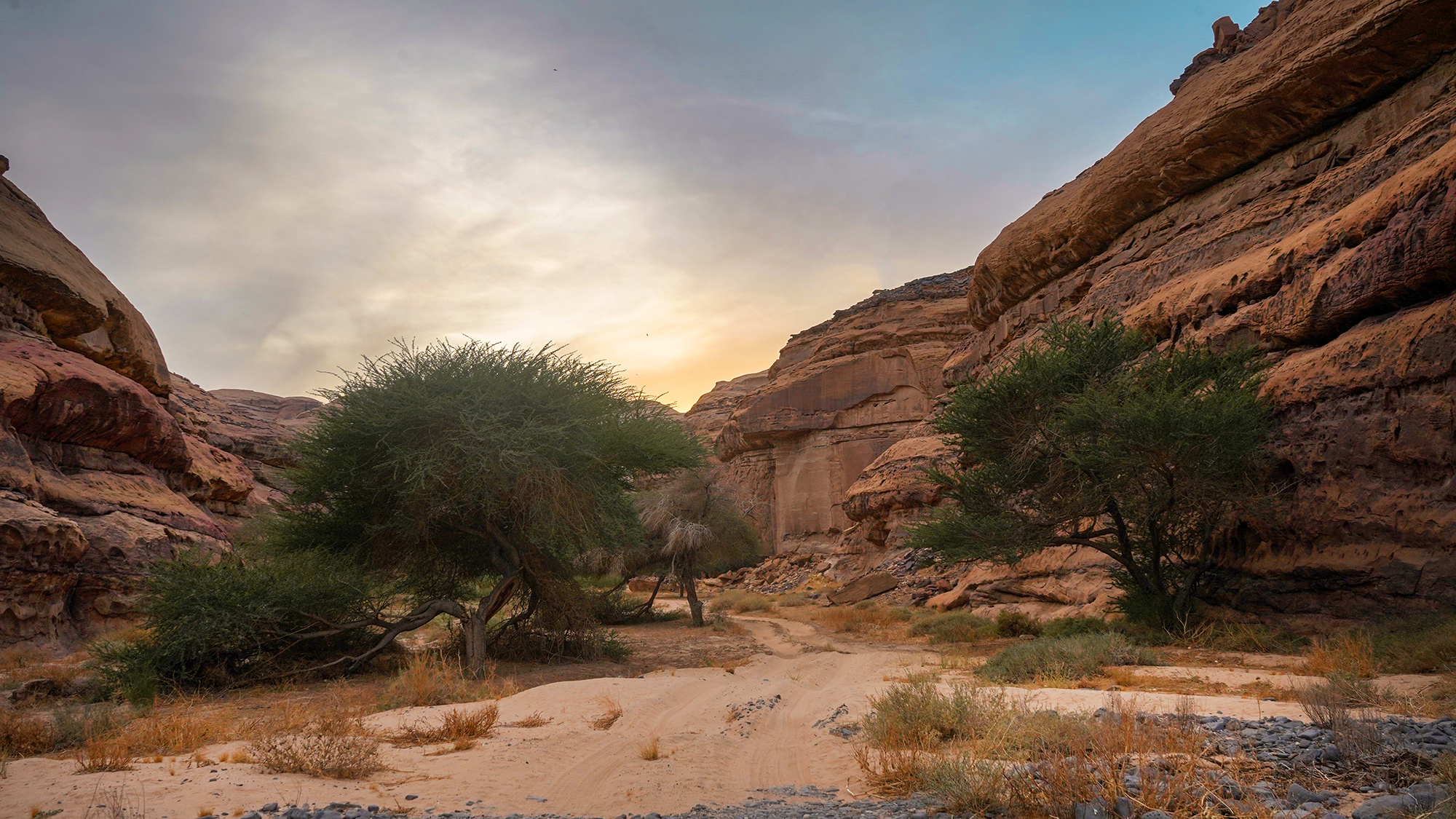 سحر المغامرة في محمية شرعان