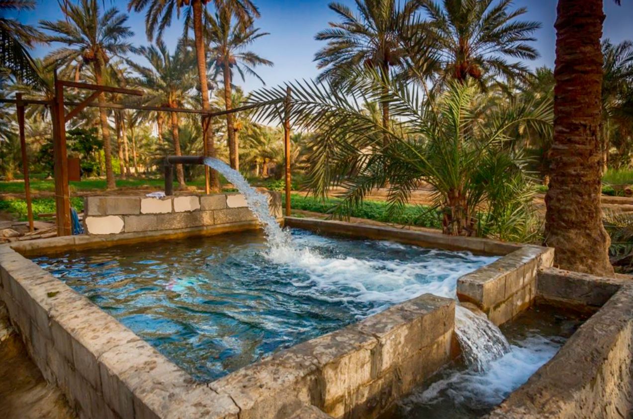 سحر خاص للطبيعة في واحة الأحساء