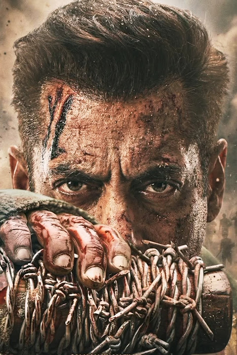 سلمان خان.. ماتروبومي ومغامرة جديدة مع نايانتارا