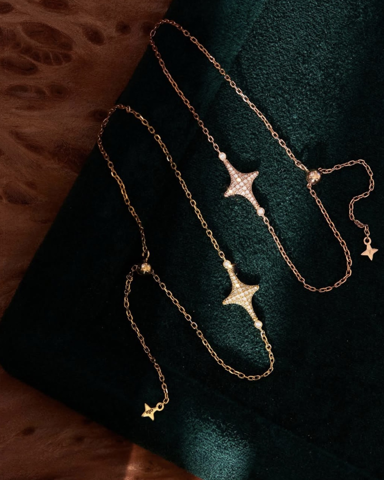 سوار مع السيف من OFA