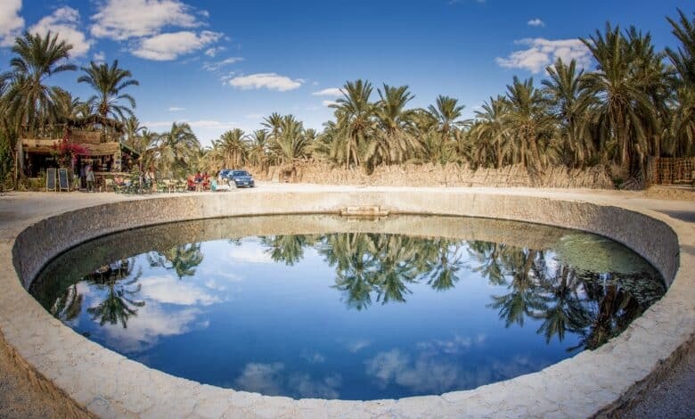 سيناء والبحر الأحمر