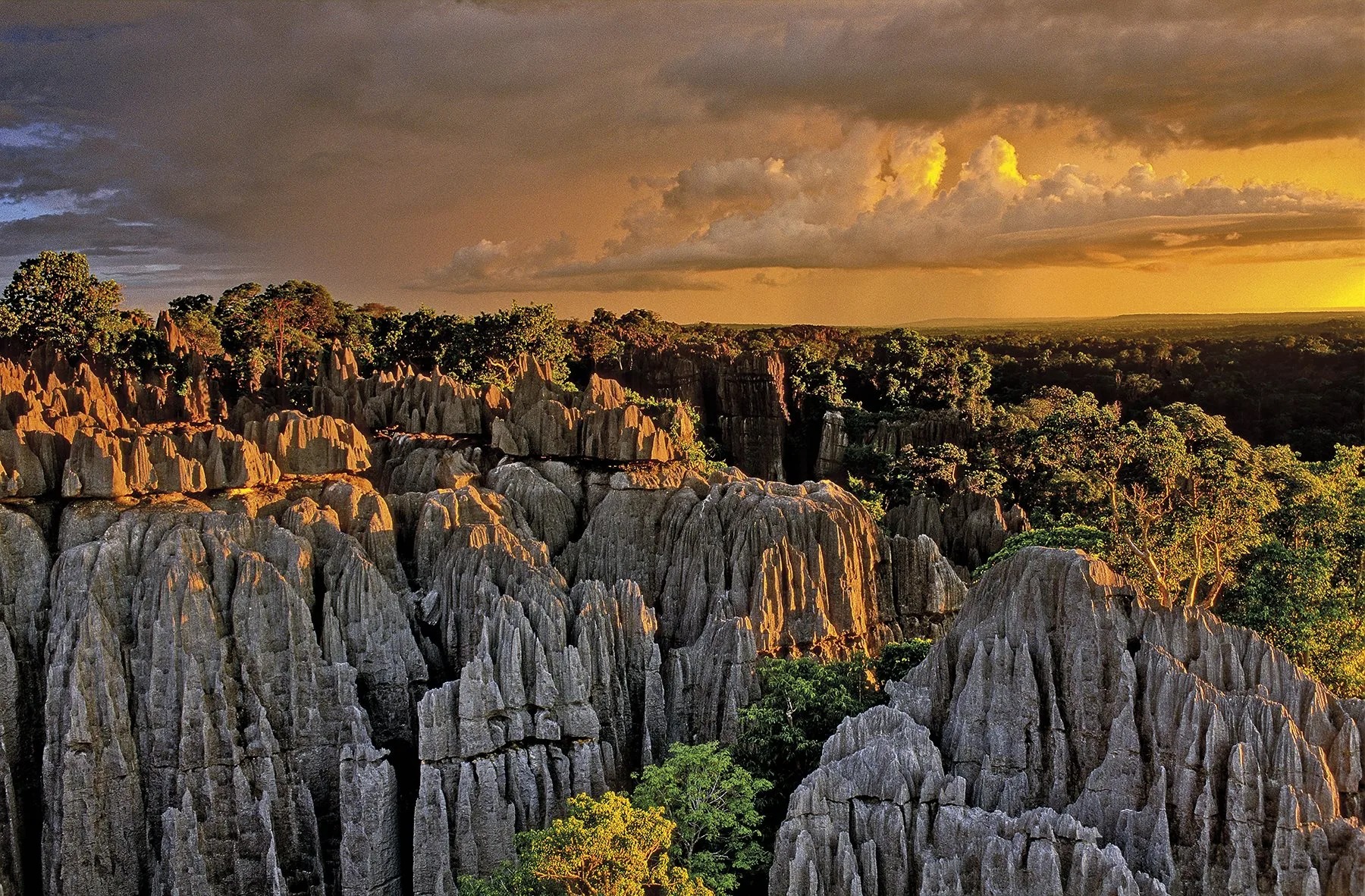 سينجي دي بيماراها (Tsingy de Bemaraha)