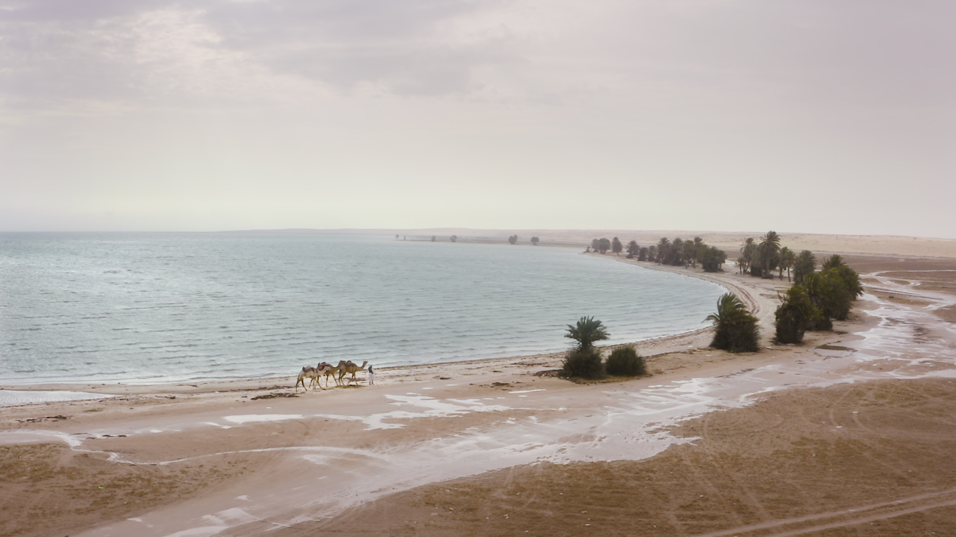 شاطئ العقير واحد من أجمل الوجهات الخلابة في المملكة لعشاق الكشتات