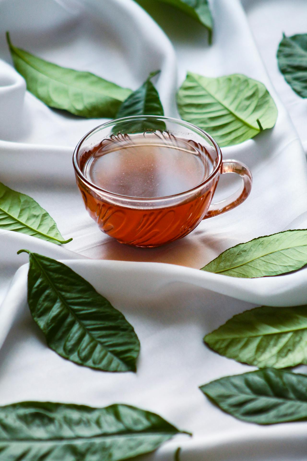 شاي أوراق التوت الأحمر أحد المشروبات المفيدة لدعم الرحم وتوازن الهرمونات بعد منتصف سن الأربعين