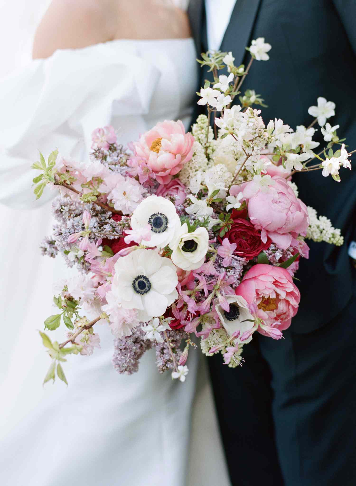 شقائق النعمان Anemone