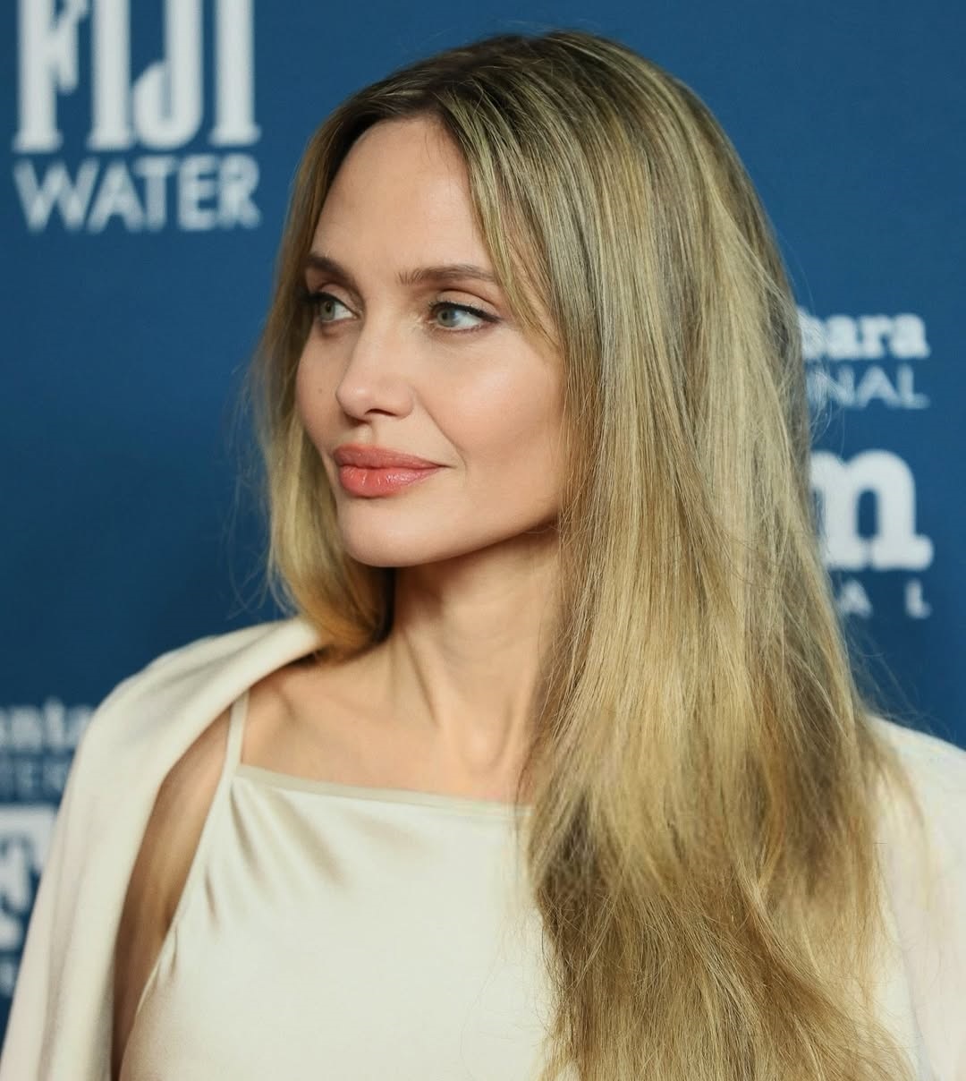 صبغات الشعر الاشقر الرمادي بأسلوب Angelina Jolie